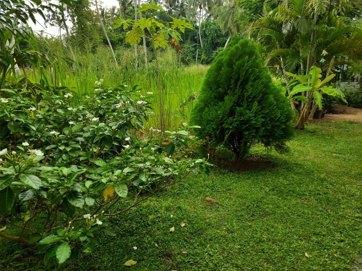 Hansa Villa Hikkaduwa Exterior foto